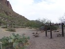 photo thumbnail #9