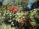 photo thumbnail #7