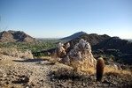 photo thumbnail #2