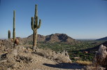 photo thumbnail #3