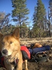 photo thumbnail #2