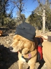 photo thumbnail #4