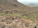 photo thumbnail #10