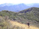 photo thumbnail #5