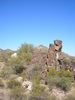 photo thumbnail #8