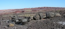 photo thumbnail #6