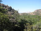 photo thumbnail #1