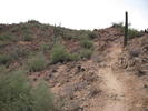 photo thumbnail #1