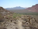 photo thumbnail #2