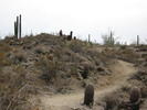 photo thumbnail #3
