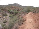 photo thumbnail #7