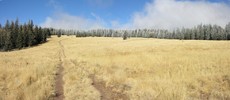 photo thumbnail #2