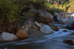 photo thumbnail #13