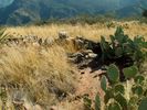 photo thumbnail #9