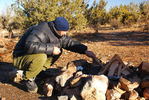 photo thumbnail #6