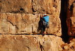 photo thumbnail #9