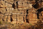 photo thumbnail #12