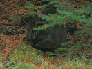 photo thumbnail #9