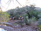 photo thumbnail #7