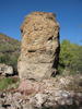 photo thumbnail #10