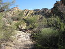photo thumbnail #4