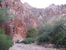 photo thumbnail #4