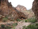 photo thumbnail #11