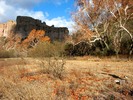 photo thumbnail #12