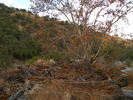 photo thumbnail #15