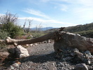 photo thumbnail #4