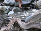 photo thumbnail #11