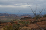 photo thumbnail #3