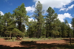 photo thumbnail #15