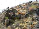 photo thumbnail #13