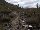 photo thumbnail #9
