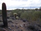 photo thumbnail #13