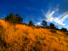 photo thumbnail #13