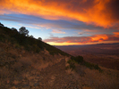 photo thumbnail #14