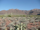 photo thumbnail #3