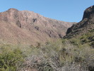 photo thumbnail #8