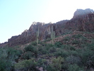 photo thumbnail #12