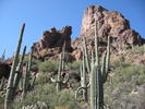 photo thumbnail #1