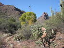 photo thumbnail #3