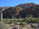 photo thumbnail #2