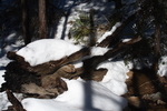 photo thumbnail #4