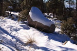 photo thumbnail #5