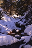 photo thumbnail #12