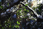 photo thumbnail #14
