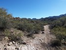 photo thumbnail #1