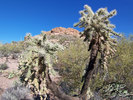 photo thumbnail #4